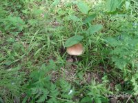 DSC00769_resize.JPG