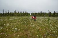 DSC9567.JPG