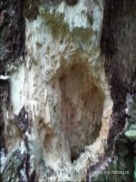 20150621_140326.jpg