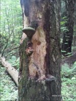 20150621_140320.jpg