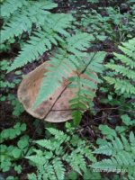 20150621_140849.jpg