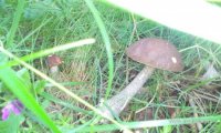 IMG_20150629_181108.jpg