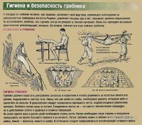 грибы-4.jpg