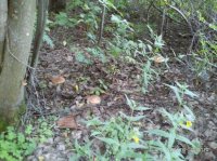 20150704_194618.jpg