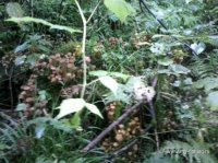 IMG_20150906_151824.jpg