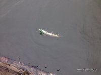 IMG_1735.JPG