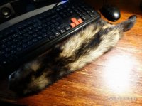 1_resize.JPG
