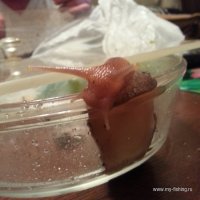 IMG_20150829_223342.jpg