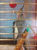 WP_20160110_003.jpg