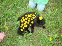 DSC07117.JPG