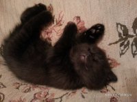 20151227_160601.jpg