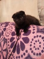20160124_174101.jpg