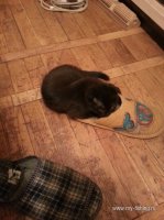 20160204_202218.jpg