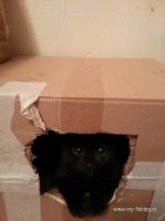 20160205_170825.jpg