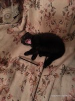 20160212_193622.jpg