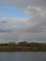 IMG_6385.jpg
