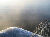 IMG_0443.jpg