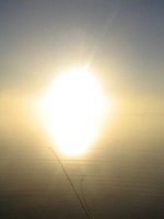 IMG_0439.jpg