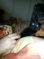 20160507_135716.jpg