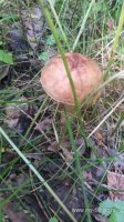 20160625_151002.jpg
