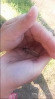 20160626_091059.jpg