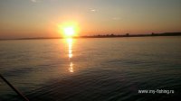DSC_0892.JPG