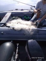 IMG_20160702_074830.jpg