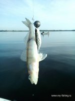IMG_20160702_071107.jpg