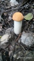 20160723_170445.jpg