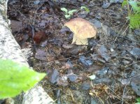 IMG_20160723_114756.jpg