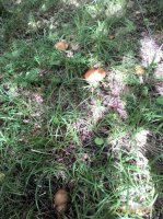 P_20160729_125143_1_p.jpg