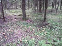 IMG_20160817_132057.jpg