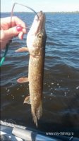 20160827_113243.jpg