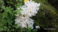 IMG_20160901_174249.jpg