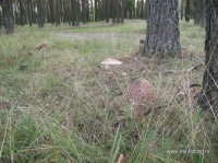 IMG_0726.JPG