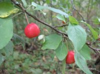 IMG_0746.JPG
