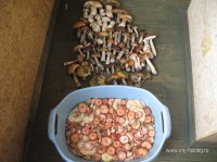 IMG_0764.JPG