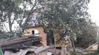 IMG-20160907-WA0002.jpg