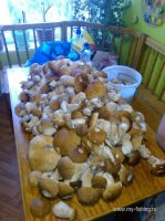 IMG-20160909-WA0002.jpg