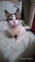 IMG-20160813-WA0002.jpeg