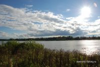 DSC_3020.JPG