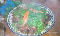 IMG_20161105_143640.jpg