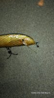 IMG_20161111_221435.jpg