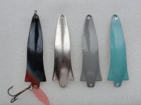 DSC01007.JPG