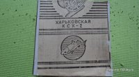 DSC03411.JPG