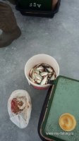 IMG-20170306-WA0002.jpg