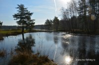 DSC_4602.jpg