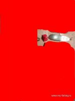 IMG_20170530_200224.jpg