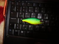 rs1001.jpg