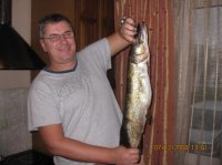 IMG_0462.jpg